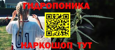 прущие крисы Гусиноозёрск