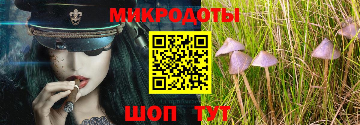 Галлюциногенные грибы мицелий Сергиев Посад