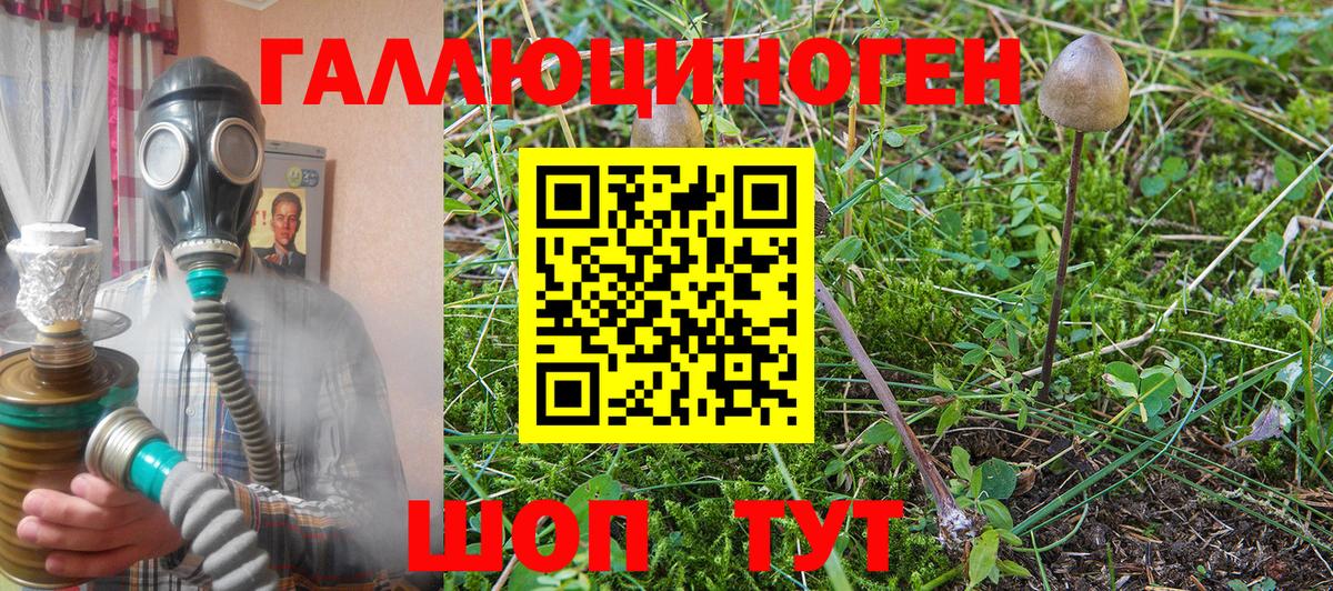 Сергиев Посад  Псилоцибиновые грибы Psilocybe  Вход с VPN 